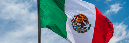 Flag of Mexico - The Flag Lady