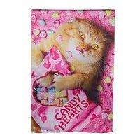 28x40 in Cat with Candy Heart Banner - The Flag Lady