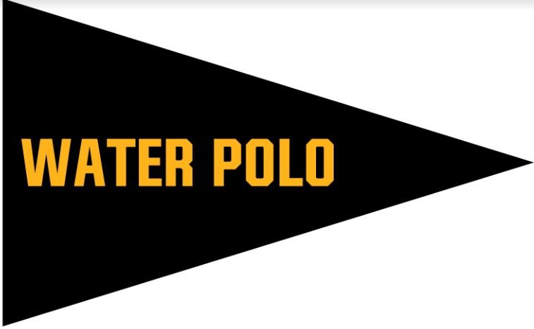 3x5 ft Upper Arlington "Water Polo" Pennant - The Flag Lady