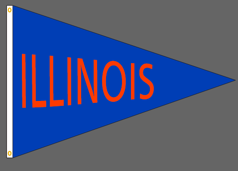 40x60 in Illinois Big 10 Pennant - The Flag Lady