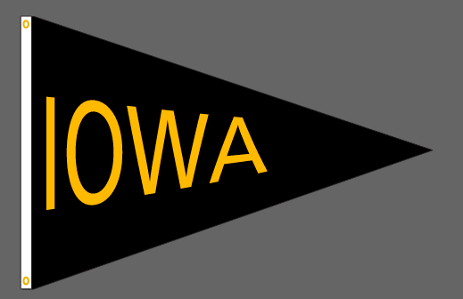 40x60 in Iowa Big 10 Pennant - The Flag Lady