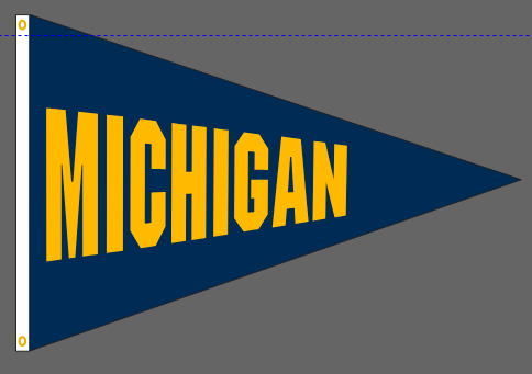 40x60 in Michigan Big 10 Pennant - The Flag Lady