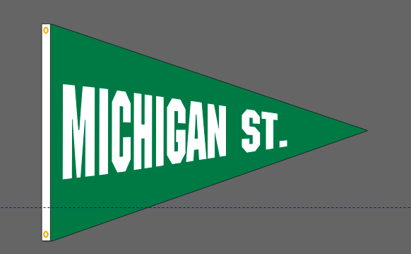 40x60 in Michigan State Big 10 Pennant - The Flag Lady