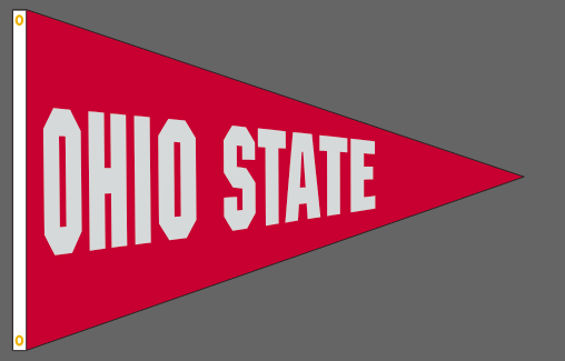 40x60 in Ohio State Big 10 Pennant - The Flag Lady