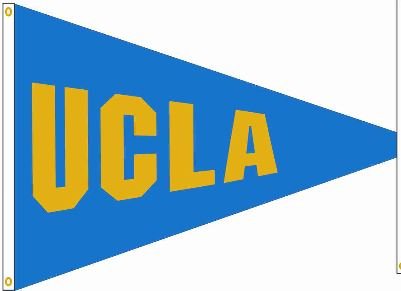 40x60 in UCLA Big 10 Pennant - The Flag Lady