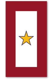 Gold Star Service Banner Magnet - The Flag Lady