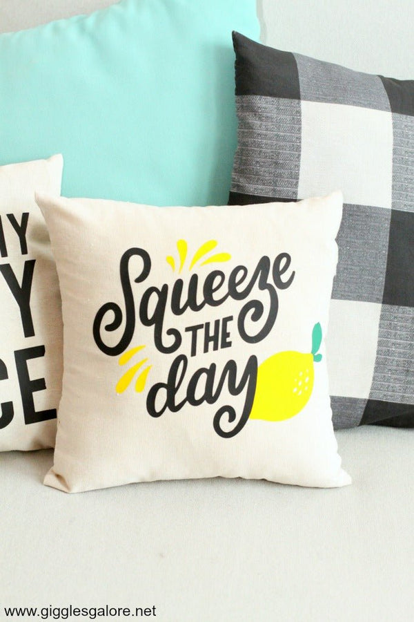 Squeeze The Day Pillow - The Flag Lady